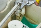 Newnes Plateautoilet-replacement-plumbers-3.jpg; ?>